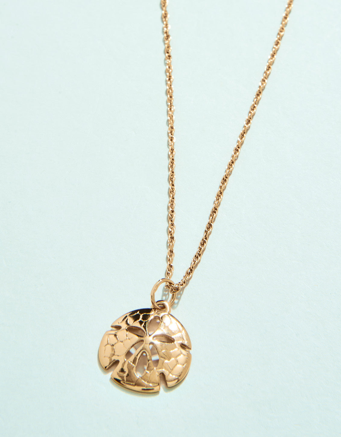 SP Sand Dollar Necklace 18“ Sand Dollar