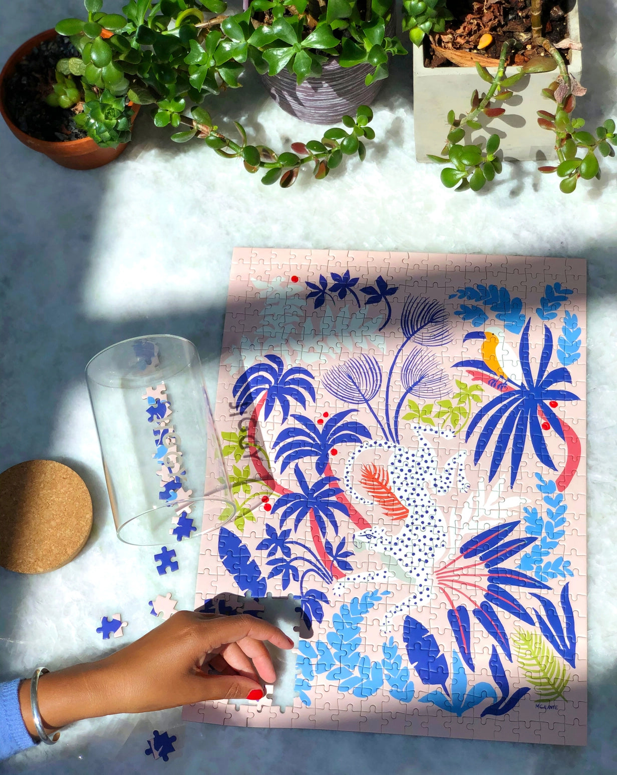Jiggy Puzzle & Glue Kit
