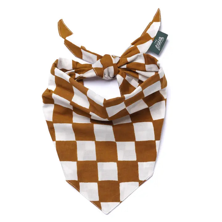 The Paws Dog Bandana