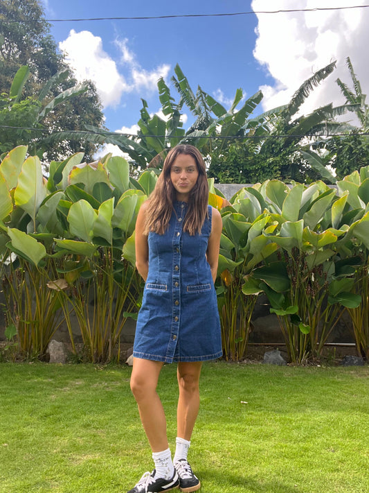 Gia Denim Dress