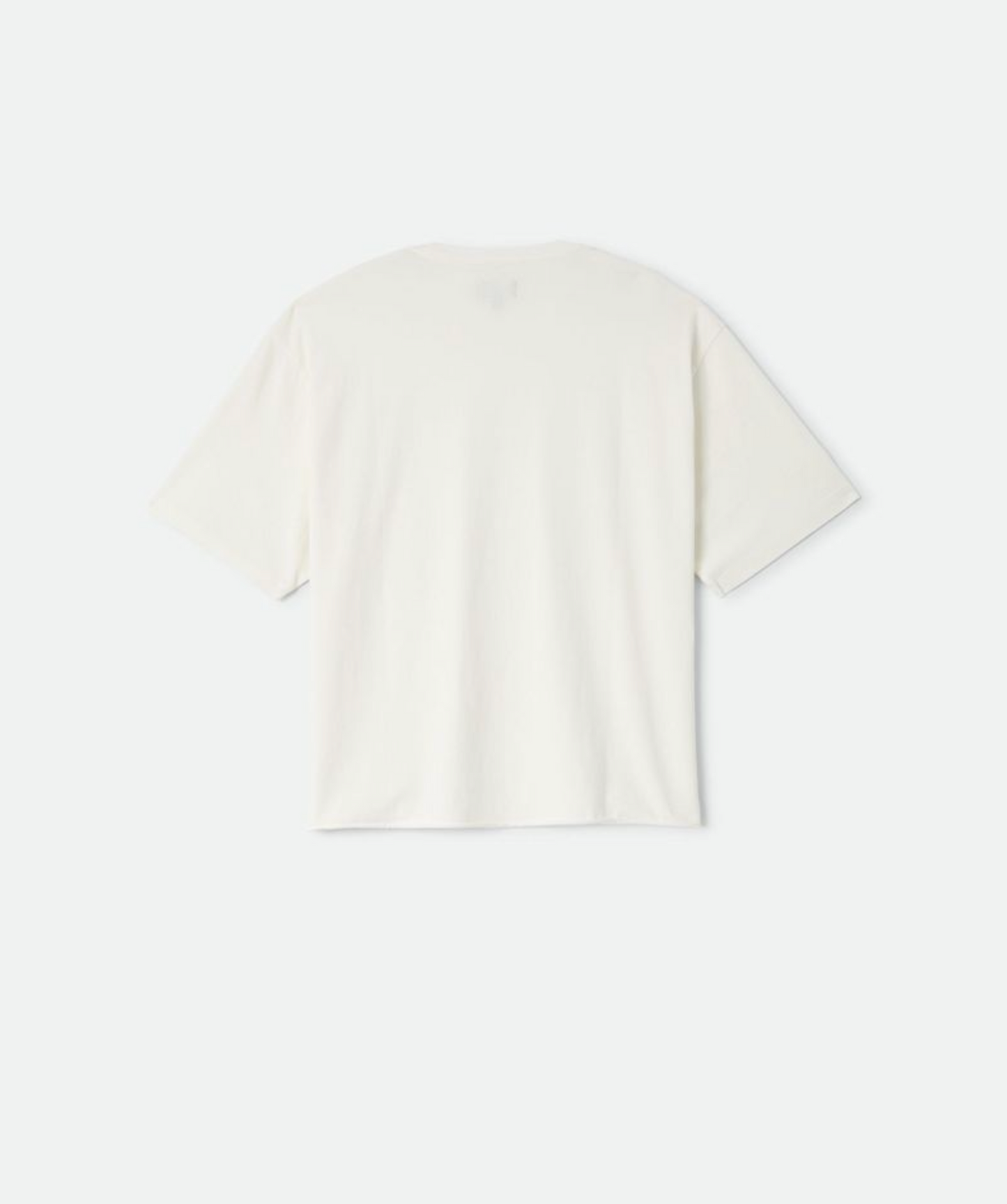 Brixton Baseline Relaxed Tee Surplus Vintage Wash