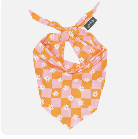 The Paws Dog Bandana